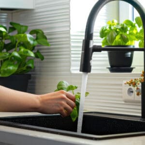 A person washing a plant in a sink