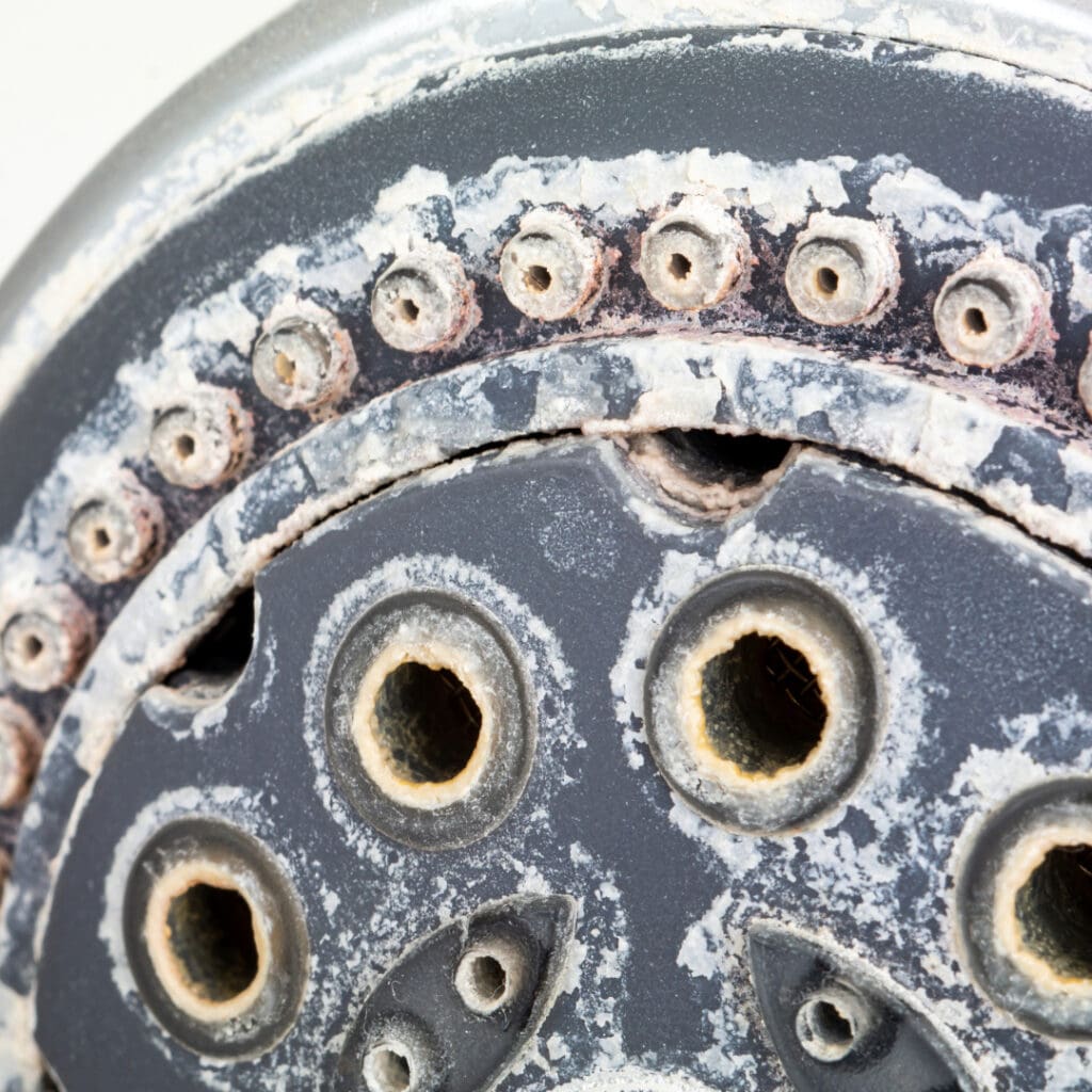 Hard Water Corrosion on a Houston, TX Shower Head